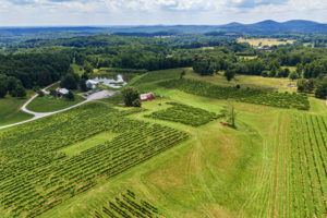 Georgia Wine Country